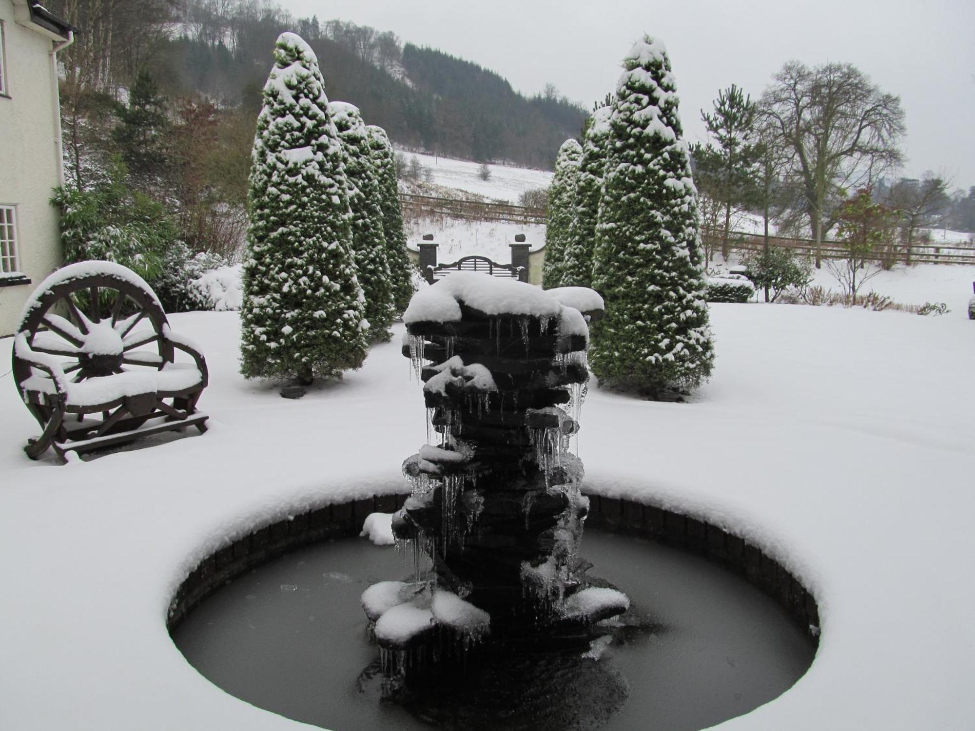 Wild Pheasant Hotel & Spa Llangollen Eksteriør bilde